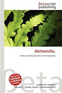 Alchemilla.