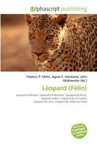 Leopard (Felin)