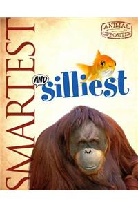 Smartest and Silliest