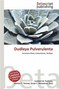 Dudleya Pulverulenta