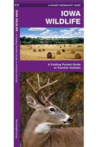 Iowa Wildlife: A Folding Pocket Guide to Familiar Species
