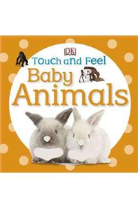 Baby Animals