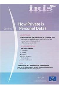 Iris Plus 2013-6 - How Private Is Personal Data?