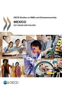 OECD Studies on Smes and Entrepreneurship Mexico: Key Issues and Policies