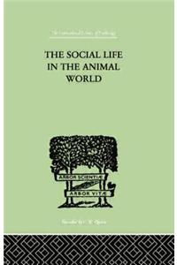 The Social Life in the Animal World
