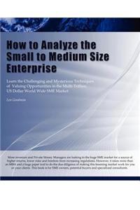 How to Analyze the Small to Medium Size Enterprise