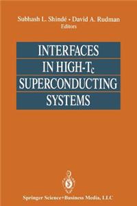Interfaces in High-Tc Superconducting Systems
