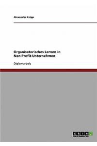 Organisatorisches Lernen in Non-Profit-Unternehmen