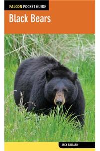Black Bears