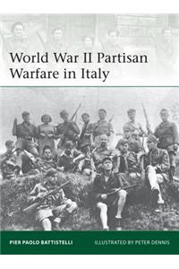 World War II Partisan Warfare in Italy