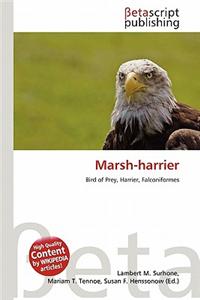 Marsh-Harrier