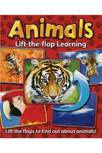 Lift-the-flap Learning