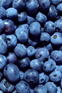 The Blueberries Journal: 150 Page Lined Notebook/Diary