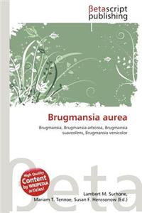 Brugmansia Aurea
