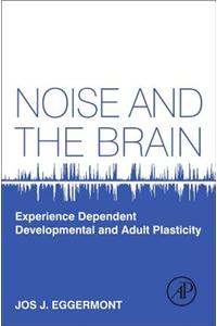 Noise and the Brain: Experience Dependent Developmental and Adult Plasticity