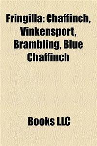 Fringilla