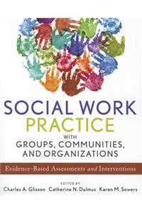 Social Work Practice with Groups, Communities, and Organizations: Evidence-Based Assessments and Interventions