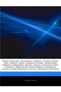 Articles on Edible Apiaceae, Including: Chervil, Cumin, Celery, Dill, Parsley, Anise, Caraway, Fennel, Asafoetida, Parsnip, Coriander, Ajwain, Lovage,