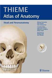 Head and Neuroanatomy
