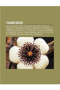 Tameside: Ashton-Under-Lyne, Buildings and Structures in Tameside, Companies Based in Tameside, Education in Tameside, Geography