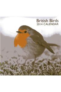 British Birds 2014 Calendar