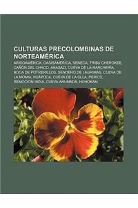 Culturas Precolombinas de Norteamerica: Aridoamerica, Oasisamerica, Seneca, Tribu Cherokee, Canon del Chaco, Anasazi, Cueva de La Rancheria