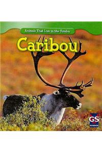 Caribou