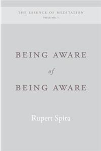 Being Aware of Being Aware