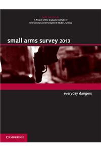 Small Arms Survey 2013: Everyday Dangers