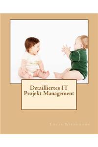 Detailliertes It Projekt Management