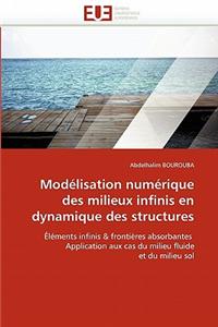 Modelisation Numerique Des Milieux Infinis En Dynamique Des Structures = Moda(c)Lisation Numa(c)Rique Des Milieux Infinis En Dynamique Des Structures