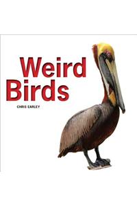 Weird Birds