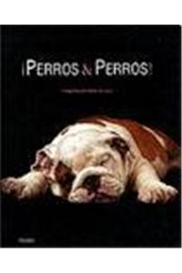 Perros & Perros/ Dogs & Dogs!