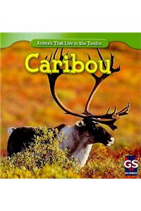 Caribou