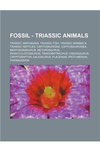Fossil - Triassic Animals: Triassic Amphibians, Triassic Fish, Triassic Mammals, Triassic Reptiles, Capitosauridae, Capitosauroidea, Mastodonsaur