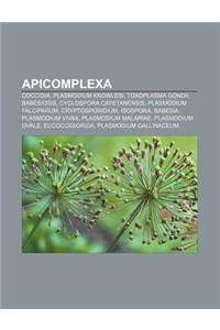 Apicomplexa: Coccidia, Plasmodium Knowlesi, Toxoplasma Gondii, Babesiosis, Cyclospora Cayetanensis, Plasmodium Falciparum, Cryptosp