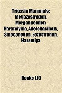 Triassic Mammals