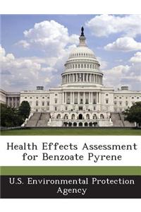 Health Effects Assessment for Benzoate Pyrene