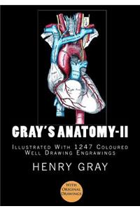 Gray's Anatomy: [Illustrated with 1247 Coloured Well Drawing Engrawings]