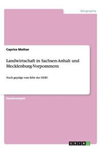 Landwirtschaft in Sachsen-Anhalt Und Mecklenburg-Vorpommern