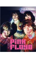Pink Floyd: A Life in Pictures