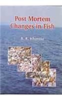 Post Mortem Changes in Fish
