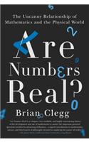 Are Numbers Real?: The Uncanny Relationship of Mathematics and the Physical World