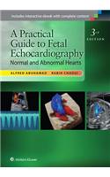 A Practical Guide to Fetal Echocardiography: Normal and Abnormal Hearts