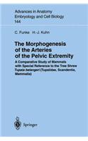 The Morphogenesis of the Arteries of the Pelvic Extremity: A Comparative Study of Mammals with Special Reference to the Tree Shrew Tupaia Belangeri (T