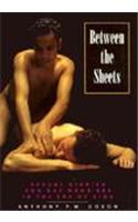 Between the Sheets: Sexual Diaries and Gay Men's Sex in the Era of AIDS