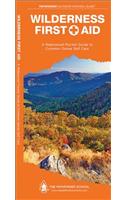 Wilderness First Aid