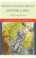 What's Divine About Divine Law?