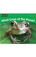 What Lives at the Pond?