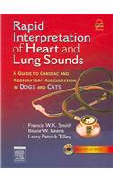 Rapid Interpretation of Heart and Lung Sounds: A Guide to Cardiac and Respiratory Auscultation in Dogs and Cats